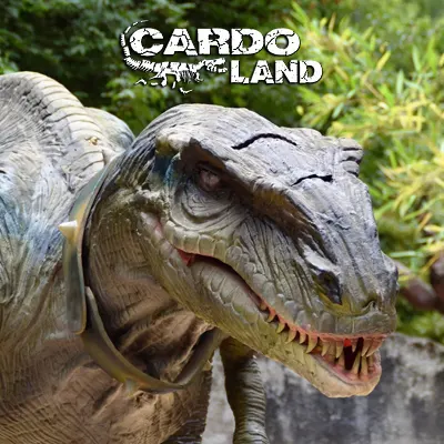 Cardo Land