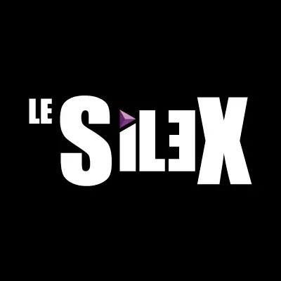 Le Silex