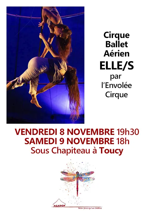 Cirque Agadop Toucy 08 09 11 2024.webp