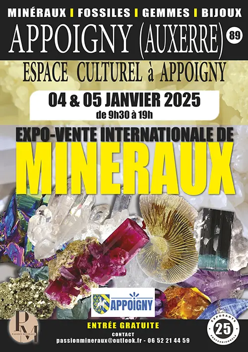 Expo vente internationale Mineraux Appoigny 05 06 01 2025.webp