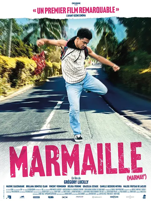 Projection film Marmaille Villeneuve sur Yonne 14 03 2025.webp