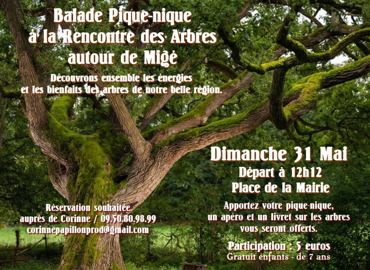 Balade Pique-nique à la rencontre des Arbres à Migé – Migé (Place de la Mairie) (affiche de l’événement)