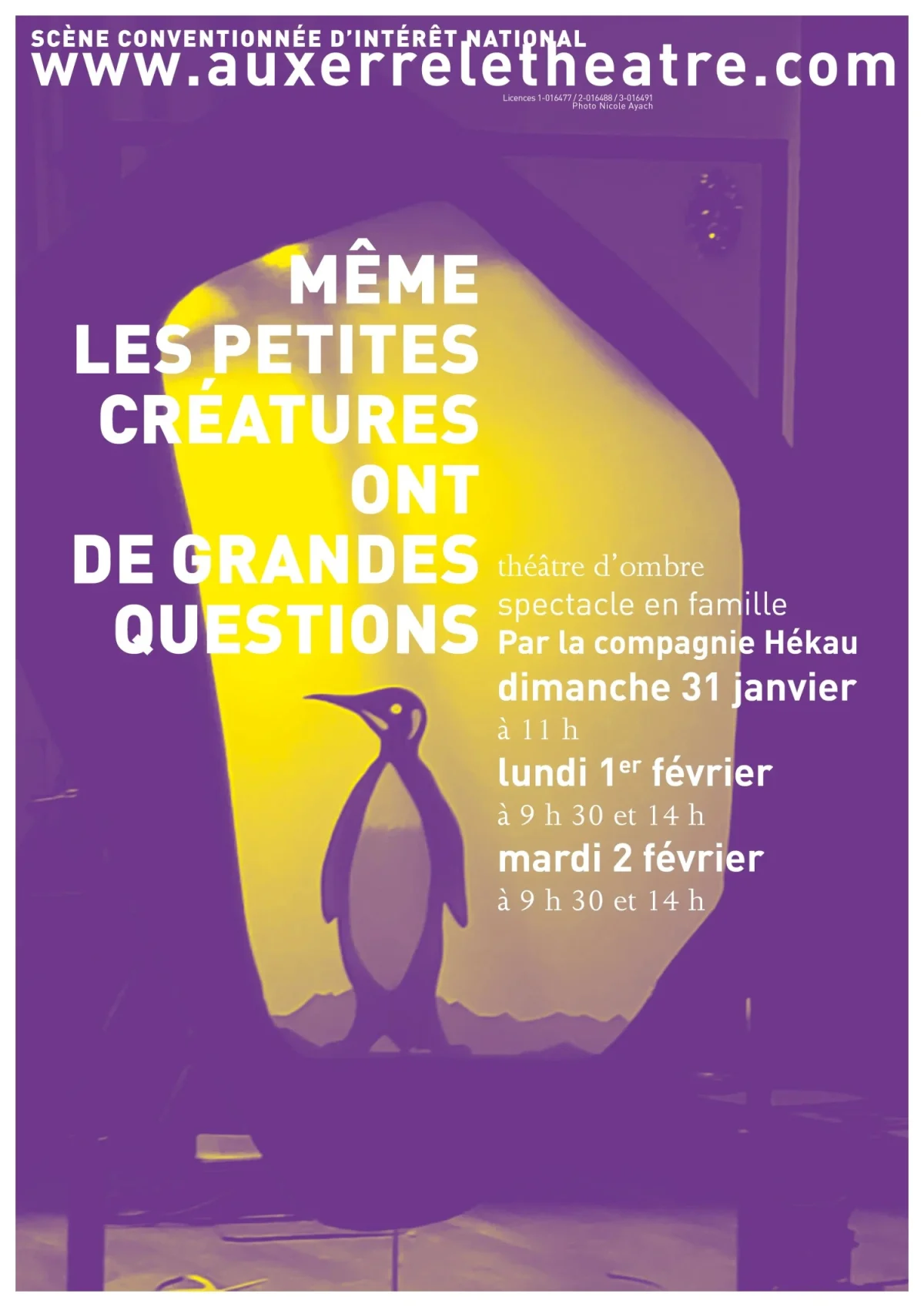 Même les petites créatures ont de grandes questions – Auxerre (Théâtre d'Auxerre) (affiche de l’événement)