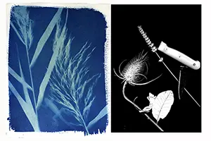 Les ateliers des 6mes Journes Photographiques du Val d'Ocre : Ecriture et photo, cyanotype, photogramme argentique