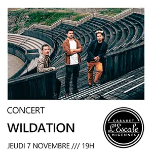 Concert avec Wildation