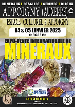 Expo-vente internationale de Minéraux - Fossiles - Gemmes - Bijoux (sur 2 jours)