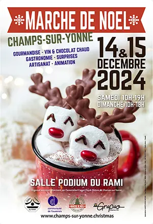 Marché de Noël de Champs-sur-Yonne (sur 2 jours) : gourmandise, vin & chocolat chaud, gastronomie, surprises, artisanat et animations)