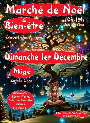 Marché de Noël / Festival du Bien-être / Concert Chamanique