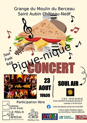 Pique-nique concert avec Soul Air (Soul, Funk, R&B style)